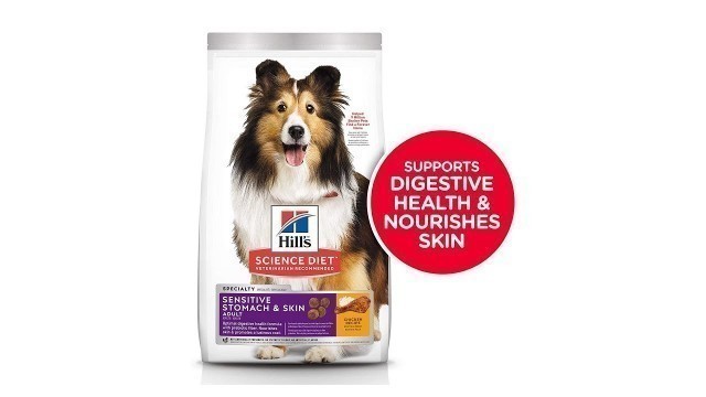 'Hill\'s Science Diet Dry Dog Food Adult| Sensitive Stomach & Skin| Chicken Recipe'