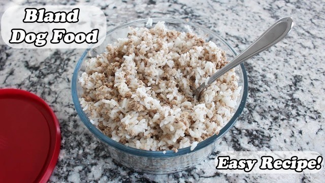 'Easy Bland Dog Food Recipe! | For GI Upset'