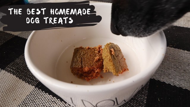 'The Best Homemade Dog Treats I DIY Dog Treats'