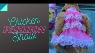'Chicken Fashion Show'