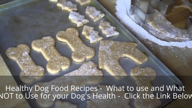 'Healthy Dog Food Recipes - You CAN Make Healthy Dog Food Recipes'