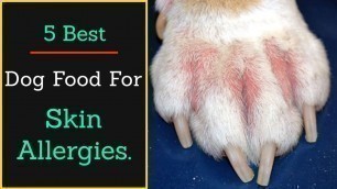 '5 Best Dog food for Skin allergies in 2020.'