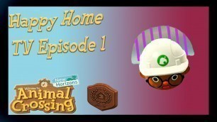 'This Is The Worst Home In Animal Crossing [Happy Home TV Episode 1]'