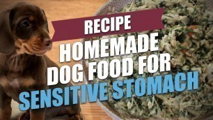 'Homemade Dog Food for Sensitive Stomach Recipe (for GI disorders)'