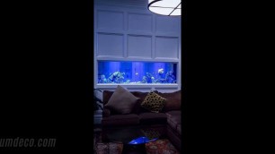 'Decorating Ideas With Aquariums Great Ideas  - Home Decorating Ideas'