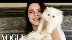 'Kendall Jenner Plays with The World\'s Cutest Kitten | Vogue'