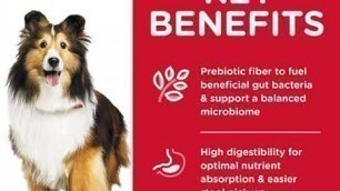 'Pet Supplies, Dry Dog Food, Adult, Sensitive Stomach & Skin, Chicken Recipe'